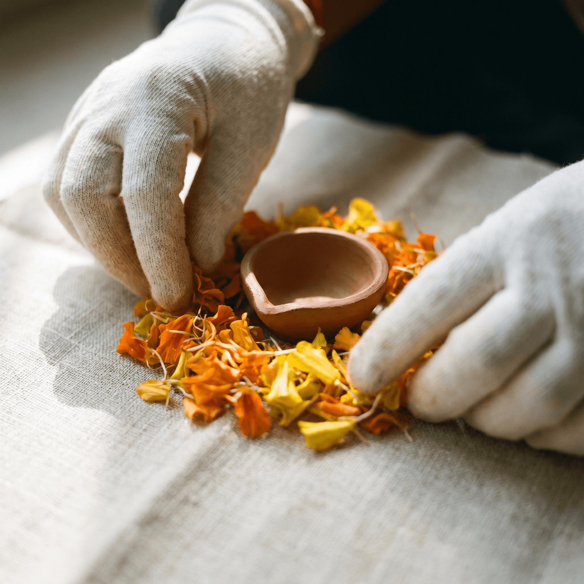 Vibrant marigolds